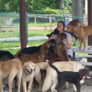 Meet your Posher, Crystal